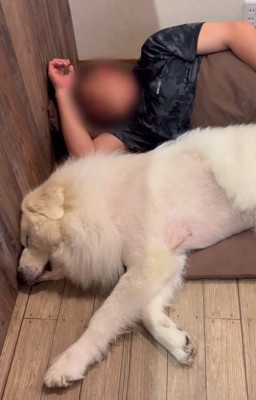 横たわるアレンくん