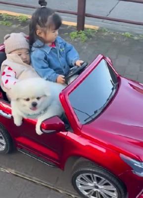 みんなでドライブしよう♪