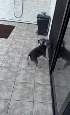 ボール遊び中のハプニング6