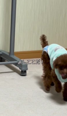 「ちゃんとできたよ♪」