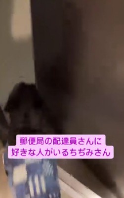 お客さんが来ると…