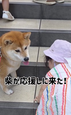 温かく見守ります