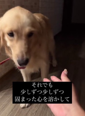 少しずつ心の距離を縮めて…