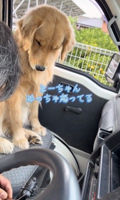 しょんぼり座る犬と手元を直す人