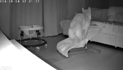 「結構ユラユラするなあ…」