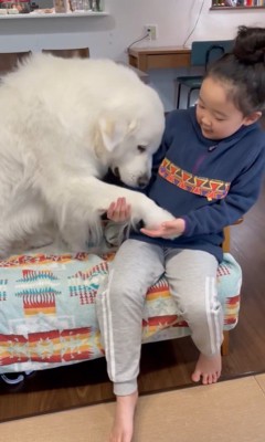 サンちゃんと女の子のやり取り7