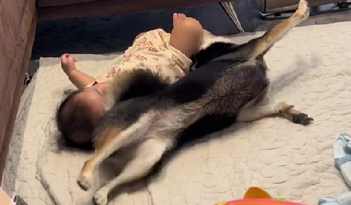 「こうだよ！やってみて！！」