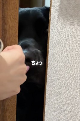 この後、ドアが閉まります