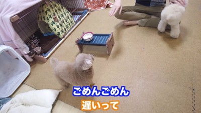 「なんで遅かったの!!」