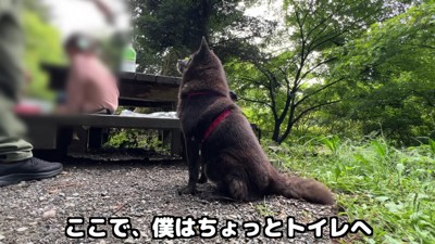 パパがトイレに立つと…?
