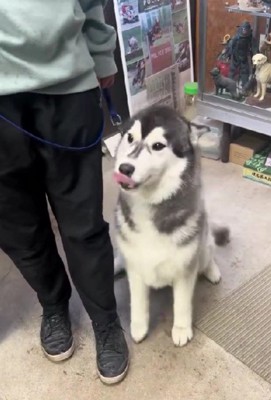 「すごいでしょ?」