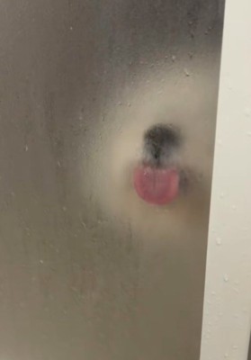 ペロペロ舐めてアピール♡