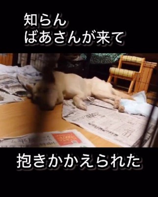藤尾さんという方に保護されたそう