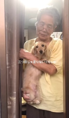 祖母に抱っこされる小型犬