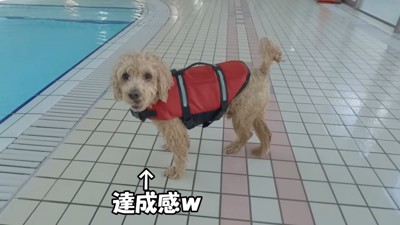 得意げなお顔が可愛い♡