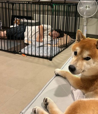 ケージで寝ちゃってる！！