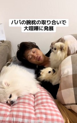 我関せずのメルちゃん