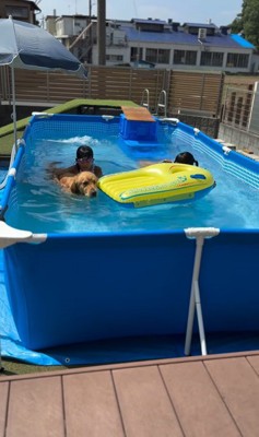 2人の女の子とシンバくんの夏休み5