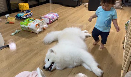 お昼寝をしていたら…