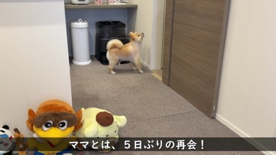 ママと5日ぶりの再会です