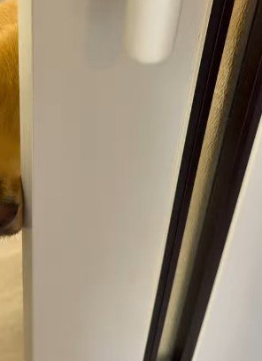 入院生活を送っていたモナちゃん