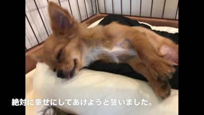 「絶対に幸せにしてあげよう」