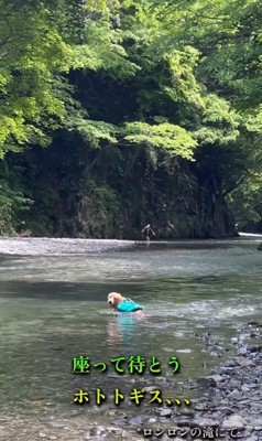 アーロンくんと川遊び中の出来事6