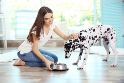 犬にご飯を与える女性