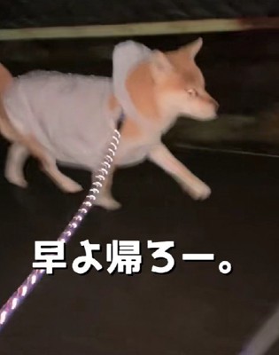 このときだけの特別なオシャレ!