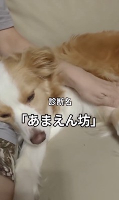 診断名「甘えん坊」