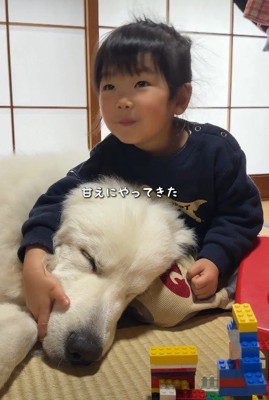 甘えに来ました♡