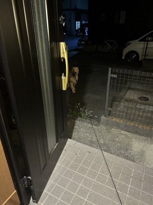 満足