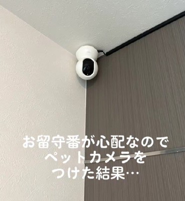 ペットカメラを設置