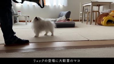 リュックを出したら…