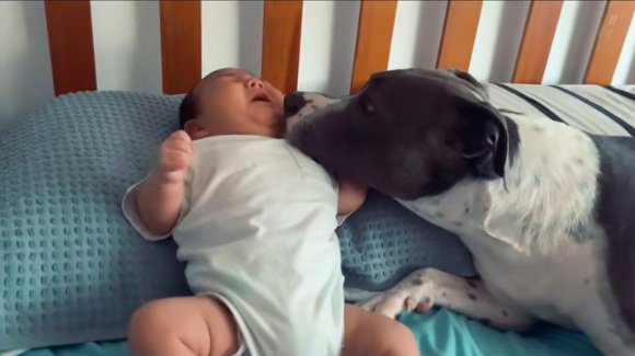 ハリーくんをあやすゆめちゃん