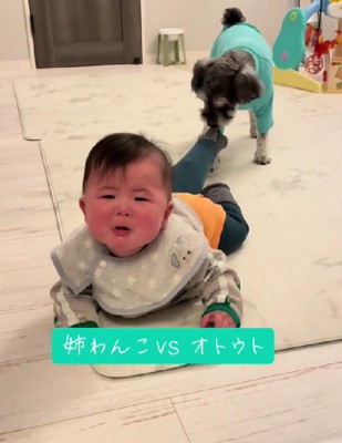 赤ちゃんが泣いても…