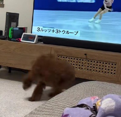 「自分もできる!!」