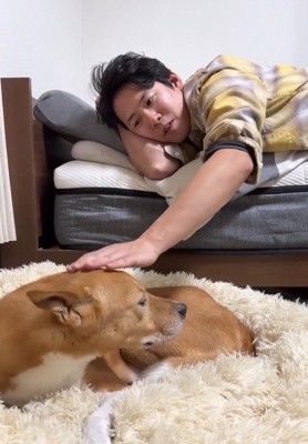 耳が倒れる明智くん