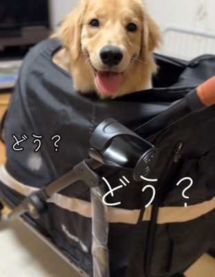 ついに念願が叶ったよ！！