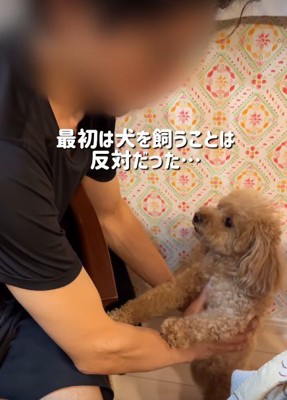 猫派のパパを押し切って…