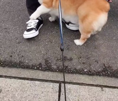 道路