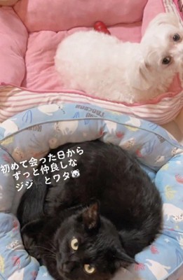 すぐに打ち解けた