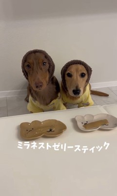 くく君＆よよ君のおやつタイム