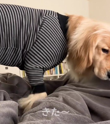 思い切りジャンプ!!