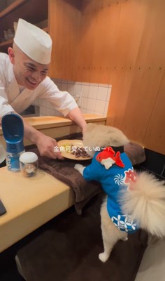 お店で食事するむぎくん7