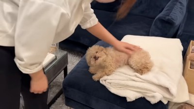 無抵抗になる小殿くん