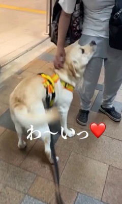 ママさんのお迎えに来たレオンくん7