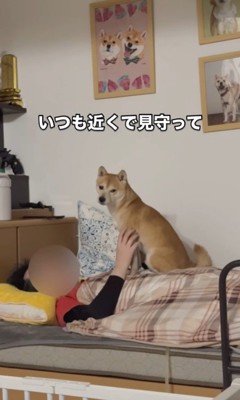 闘病中のパパさんに寄り添うたもつ君＆たら君3