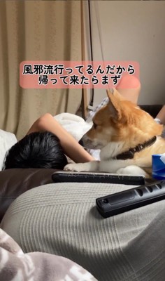 体調不良の男の子に付き添うチリちゃん3