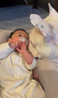 こぶし君と赤ちゃん6